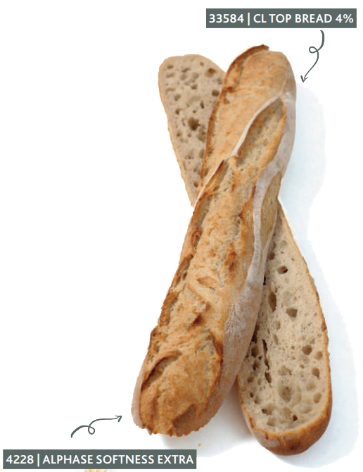 baguette-bread